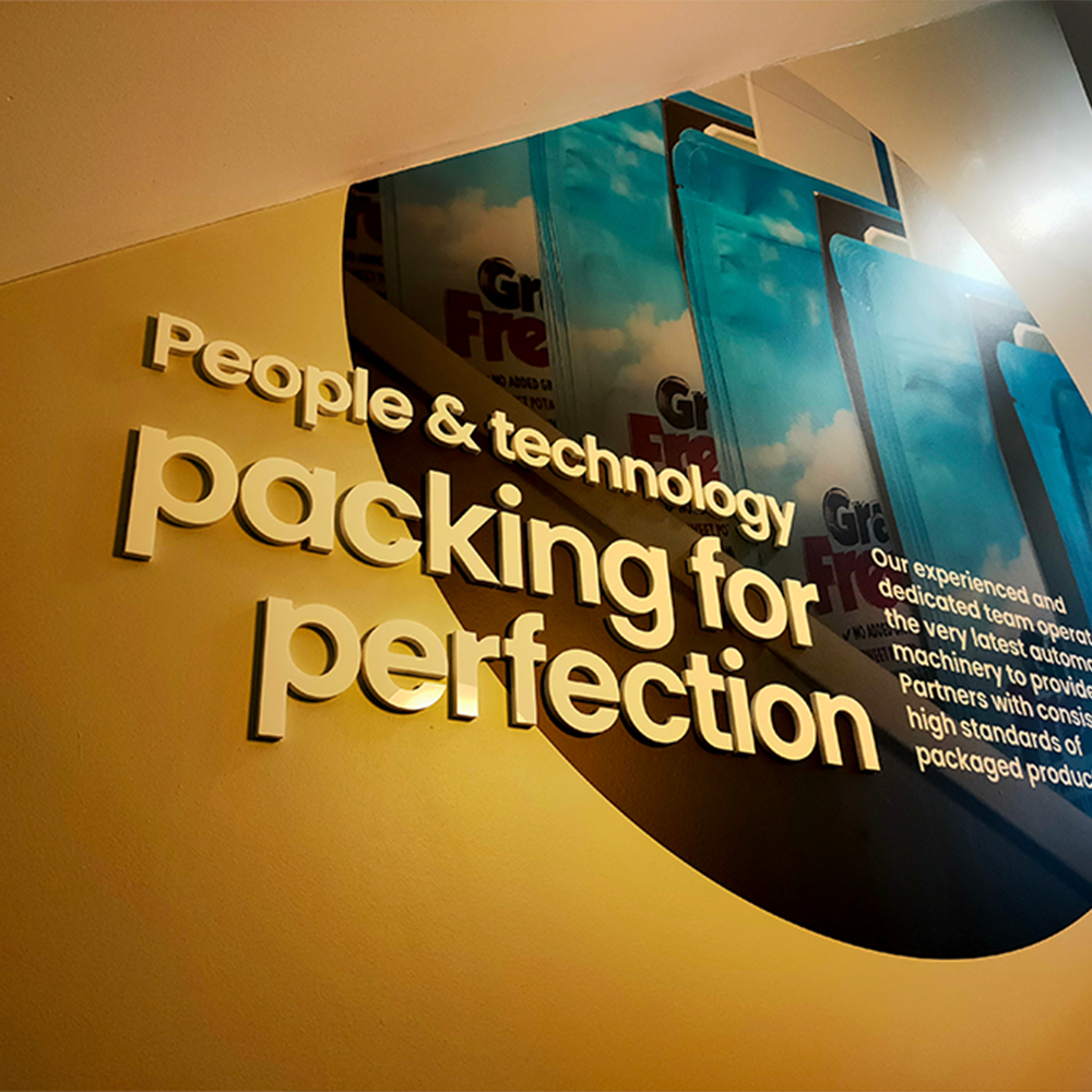 Foamex Board Flat Cut Letters with Gloss Lamination