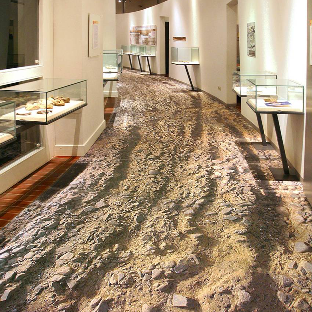 Custom Shaped Floor Branding on Flat Surface Vinyl